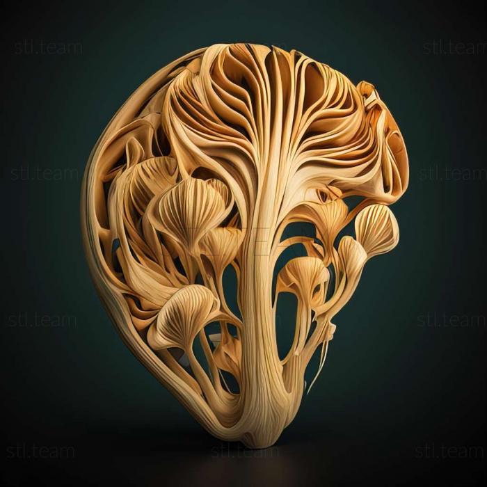 3D модель Bocydium sexvesicatum (STL)